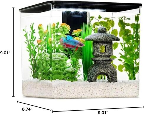 Imagitarium Betta Cube Kit 2.5 جالون in Kuwait