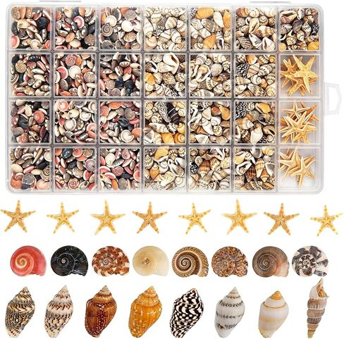 1200 PCS Tiny Seashells& 21 Starfish Mixed Bulk Beach Small Shells for Home Decor, Beach Theme Party Decorations, Fish Tank Aquarium Decor, Sea Shells for Crafting Vase Filler, Beach Candle in Kuwait