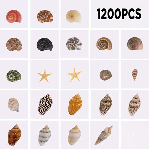 1200 PCS Tiny Seashells& 21 Starfish Mixed Bulk Beach Small Shells for Home Decor, Beach Theme Party Decorations, Fish Tank Aquarium Decor, Sea Shells for Crafting Vase Filler, Beach Candle in Kuwait