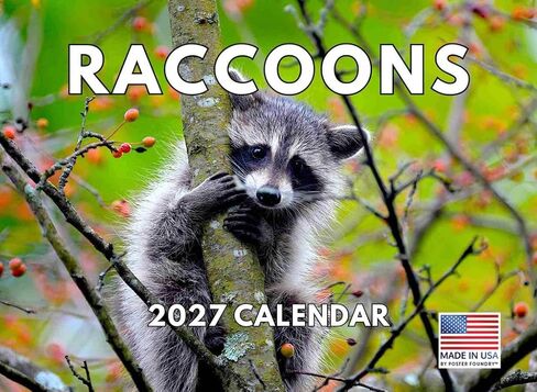 Raccoon Calendar 2025 Monthly Wall Calender 12 Month | American Made In The USA in Kuwait
