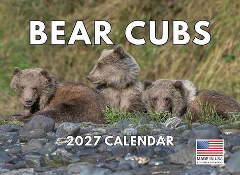 Baby Bear Calendar 2025 Monthly Wall Calender | American Made In The USA in Kuwait