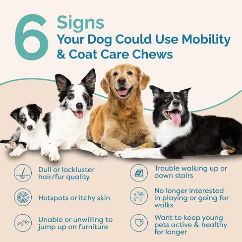 PranaPets Mobility & Coat Care Chews for Dogs & Puppies | Joint Supplement | Skin & Coat Health | Peanut Butter & Jelly Flavor | 90 Soft Chews in Kuwait