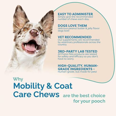 PranaPets Mobility & Coat Care Chews for Dogs & Puppies | Joint Supplement | Skin & Coat Health | Peanut Butter & Jelly Flavor | 90 Soft Chews in Kuwait