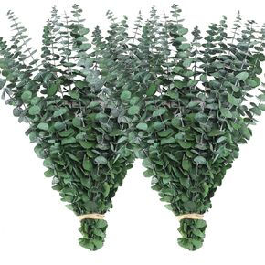 40 PCS DRIED EUCALYPTUS تنبع للاستحمام ، 17 '' Natural Real Live Eucalyptus أوراق فروع معلقة على مصنع دش للمنتجع المنزلي عطر الحمام ديكور مزهرية in Kuwait