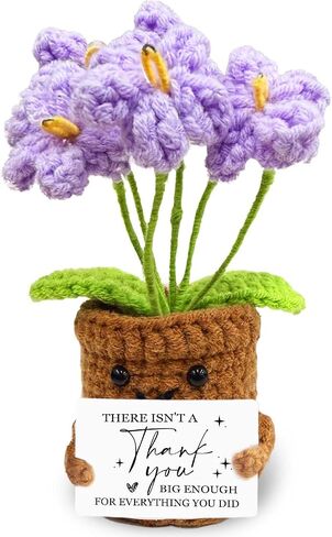 Unique Crochet for Women,Perfect for Christmas Ornaments Xmas Party Supplies Thanksgiving Party Décor,Positive Gift for Teacher, Mom,Best Friend, Coworker Emotional in Saudi Arabia