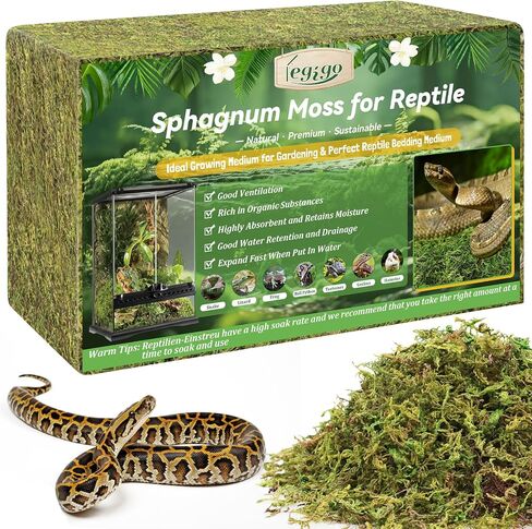 Legigo 14 Oz Sphagnum Moss for reptile- 16 Qt Qt reptile natural moss terrarium moss krettreate ، snake tank moss moss reptile freed for snake ، gecko ، ball python ، frog and occids bleants in Kuwait