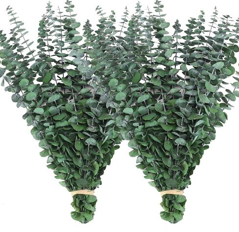 40 PCS DRIED EUCALYPTUS تنبع للاستحمام ، 17 '' Natural Real Live Eucalyptus أوراق فروع معلقة على مصنع دش للمنتجع المنزلي عطر الحمام ديكور مزهرية in Kuwait