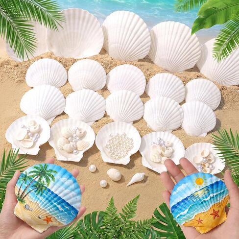 JSPYFITS 1500 PCS Sea Shells Small Mixed Beach Snail Seashells with 100PCS Pearls are Suitable for Beach Theme Parties,Home Decoration, Various DIY Crafts,Candle Making,Shells,Vase fillers in Kuwait