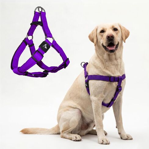 Kruz Original Heavy-Duty No Pull Dog Harness - Ultra Comfort, Lifetime Durability, Pet Harness for Small and Medium Dog Breeds (Turquoise, Large) in Kuwait