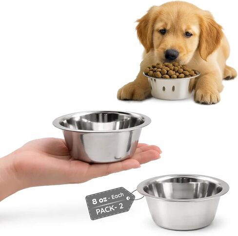 Stainless Steel Dog Bowls for Cats & Small Medium Breeds Dogs - 8 Oz Feeding Dish Food and Water Feeder - Multi Purpose Pet Bowl Pack 2 in Kuwait