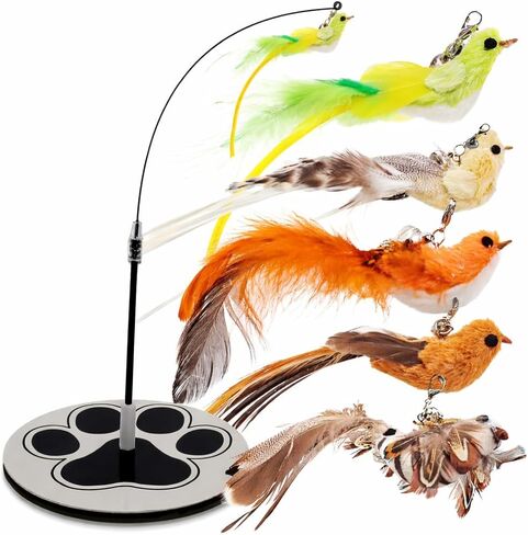 Cat Toys Set Cat Fishing Pole Toy Retractable Cat Wand Toy Suction Cup Cat Toys for Indoor Cats Door Hanging Cat Toy Cat String Toy Cat Teaser Wand Hanging Cat Toy Cat Feather Toy Cat Toy Wand Kitten in Saudi Arabia