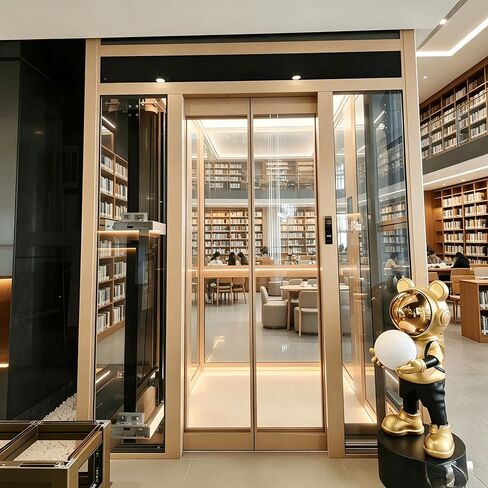 Compact Indoor Elevator, Smooth Traction Drive Elevator with Stainless Steel Cabin, Misoperation Cancel Function for Rural Manor & Duplex Courtyard in Kuwait