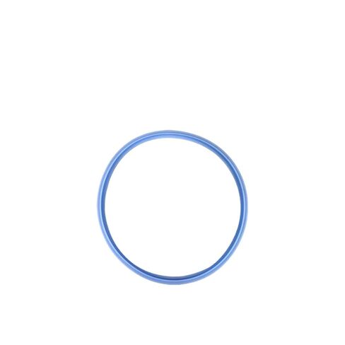 Autoclave Door Gasket Seal O Ring Chamber Replacement for Euronda E9 E7 E6 Series Compatible with 06 in Kuwait