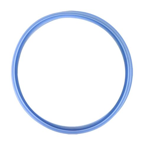 Autoclave Door Gasket Seal O Ring Chamber Replacement for Euronda E9 E7 E6 Series Compatible with 06 in Kuwait