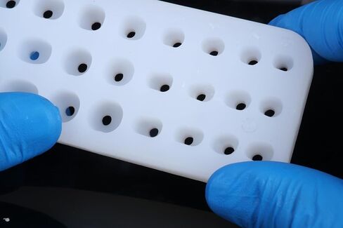 Emergence Profile Silicone Index Organizer Block – Dental Implant Natural Emergence Profiler, Autoclave Safe, Universal Compatibility in Kuwait