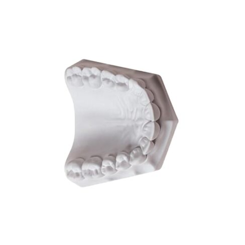 Whip-Mix 330086 Laboratory Plaster ISO Type 2 White 33 Lbs 15 Kg. in Kuwait