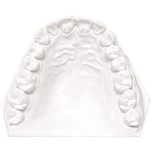 3 lb White Dental Plaster Type II Regular Set Dental Gypsum for Casting Used in Dental Labs or Hobbies, Arts & Crafts in Kuwait