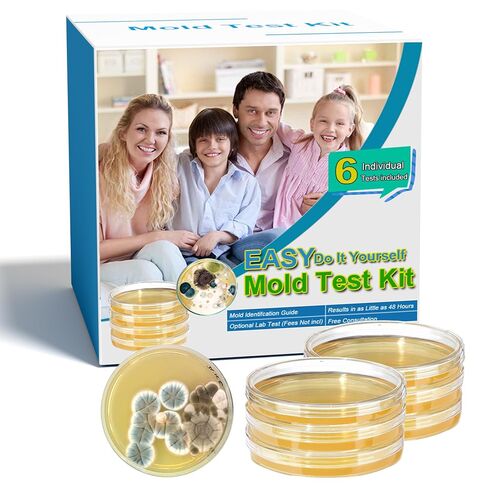 Mold Test Kit for Home- DIY Mold Detector for Home, 3 at Home Mold Air Test Kits - Test HVAC、 Home Surfaces、Indoor Air Quality, Easy Black Mold Testing Kit Includes Detailed Mold Identification Guide in Kuwait