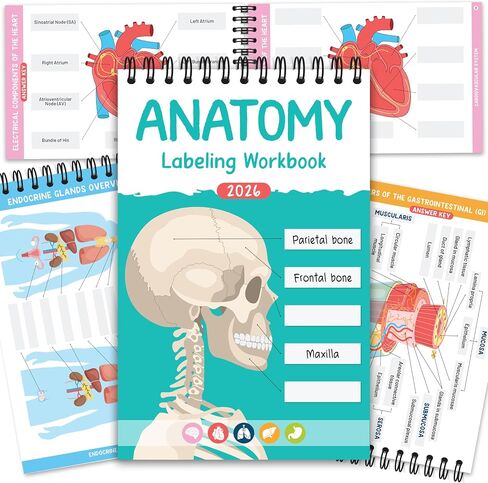 Bloomost Anatomy Labeling Workbook Dry Erase - Reusable 198-Page Human Anatomy Label Book for Nursing & Medical Students - Body Systems Study Guide with Answer Keys in Kuwait