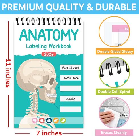 Bloomost Anatomy Labeling Workbook Dry Erase - Reusable 198-Page Human Anatomy Label Book for Nursing & Medical Students - Body Systems Study Guide with Answer Keys in Kuwait