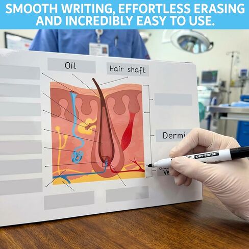 Bloomost Anatomy Labeling Workbook Dry Erase - Reusable 198-Page Human Anatomy Label Book for Nursing & Medical Students - Body Systems Study Guide with Answer Keys in Kuwait