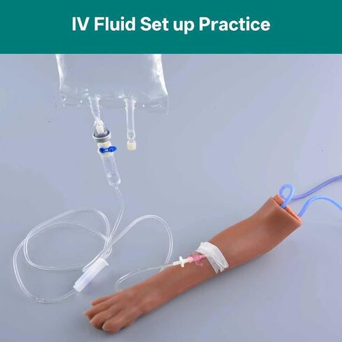 Canine IV Blood Draw & Catheterization & Dog Bandaging Leg, IV Fluid Venipuncture Injection Kit Intravenous Training Set, Veterinary Dog IV Practice Kit for Students, Veterinarians, and Training in Kuwait