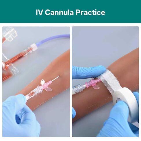 Canine IV Blood Draw & Catheterization & Dog Bandaging Leg, IV Fluid Venipuncture Injection Kit Intravenous Training Set, Veterinary Dog IV Practice Kit for Students, Veterinarians, and Training in Kuwait