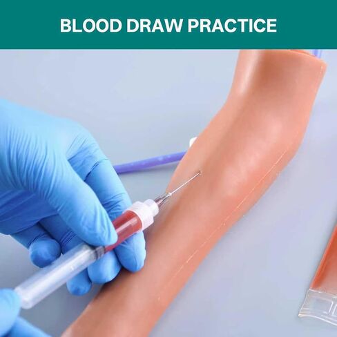 Canine IV Blood Draw & Catheterization & Dog Bandaging Leg, IV Fluid Venipuncture Injection Kit Intravenous Training Set, Veterinary Dog IV Practice Kit for Students, Veterinarians, and Training in Kuwait