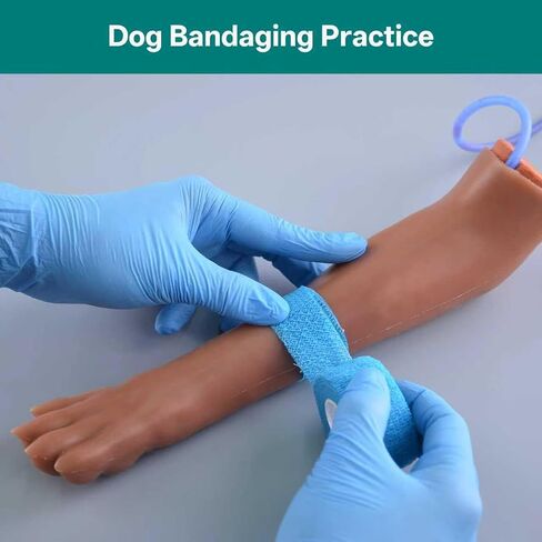 Canine IV Blood Draw & Catheterization & Dog Bandaging Leg, IV Fluid Venipuncture Injection Kit Intravenous Training Set, Veterinary Dog IV Practice Kit for Students, Veterinarians, and Training in Kuwait