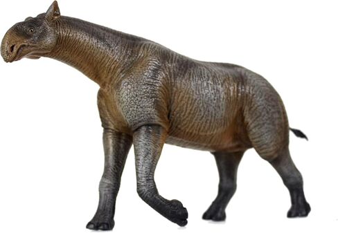1:35 Scale Paraceratherium Model in Kuwait