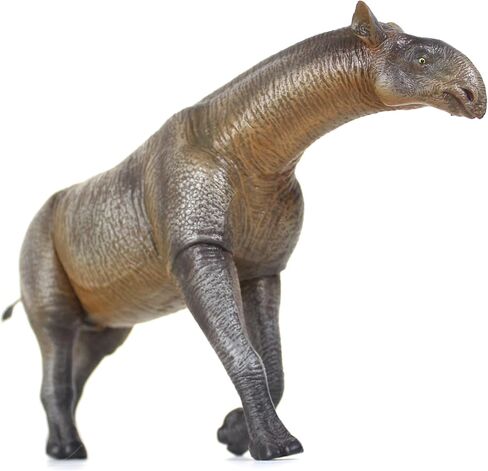 1:35 Scale Paraceratherium Model in Kuwait
