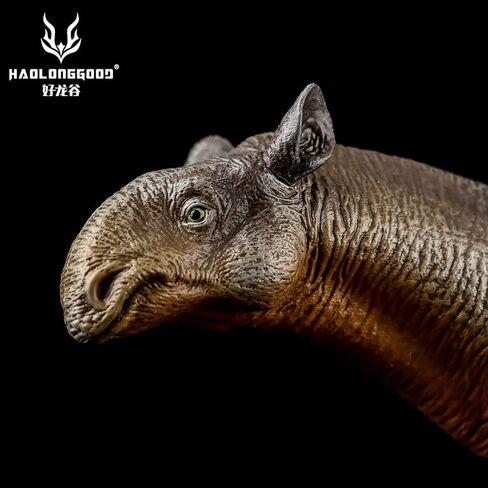 1:35 Scale Paraceratherium Model in Kuwait