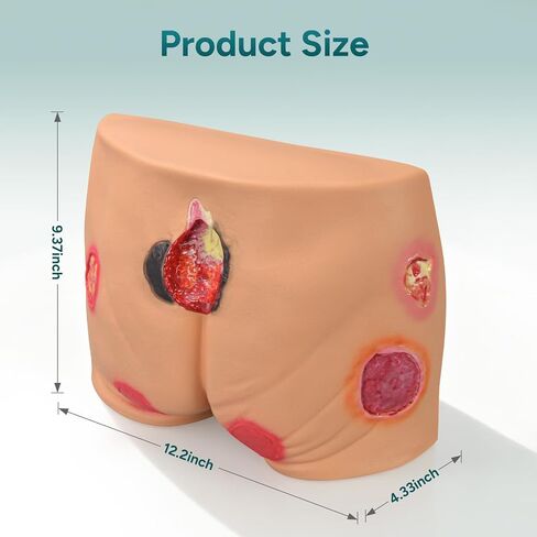 PVC Buttock Decubitus Ulcer Model, Pressure Ulcer Wound Care Model, Wound Care Education Tools for Teaching in Kuwait