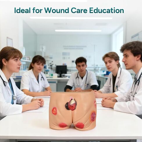 PVC Buttock Decubitus Ulcer Model, Pressure Ulcer Wound Care Model, Wound Care Education Tools for Teaching in Kuwait