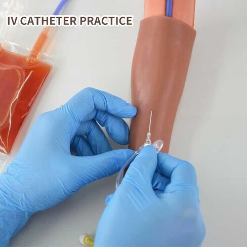 Canine IV Blood Draw & Catheterization Leg – Veterinary Dog IV Practice Kit for Students, Veterinarians, and Training in Kuwait