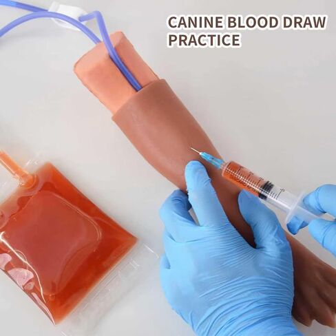 Canine IV Blood Draw & Catheterization Leg – Veterinary Dog IV Practice Kit for Students, Veterinarians, and Training in Kuwait
