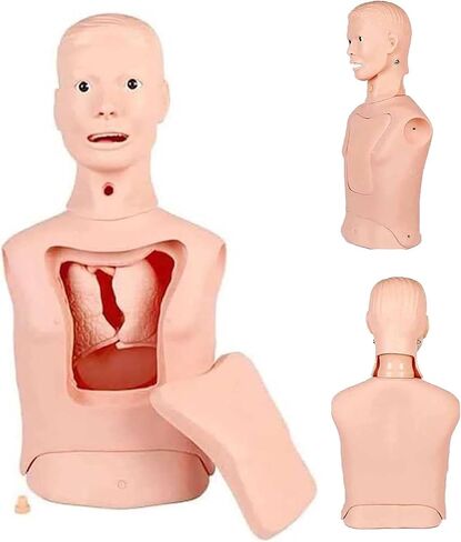 Nasogastric Intubation Tube Manikin,Multifunctional Nasogastric Tracheostomy Intubation Gastric Tube Model for Medical Nursing Training Teaching Education ﻿ in Kuwait