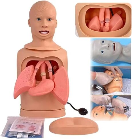 Nasogastric Intubation Tube Manikin,Multifunctional Nasogastric Tracheostomy Intubation Gastric Tube Model for Medical Nursing Training Teaching Education ﻿ in Kuwait