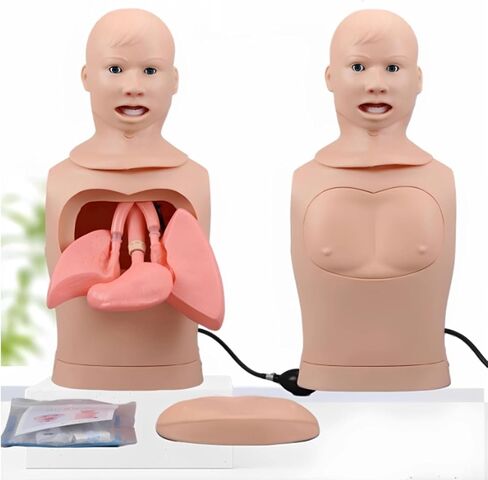 Intubation Gastric Tube Model Multifunctional Training Manikin Nasogastric and Trachea Care Lavage Tracheostomy in Kuwait
