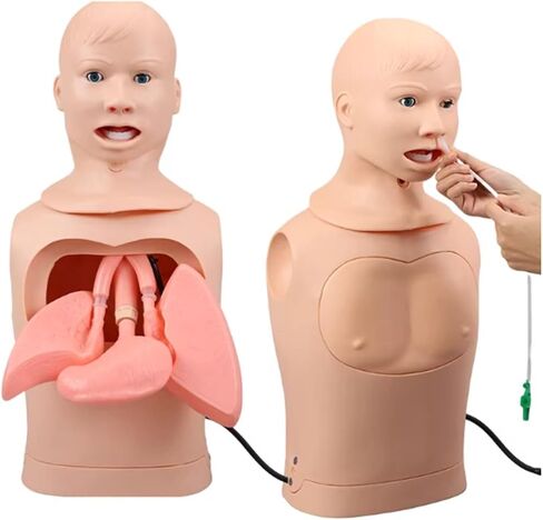 Intubation Gastric Tube Model Multifunctional Training Manikin Nasogastric and Trachea Care Lavage Tracheostomy in Kuwait
