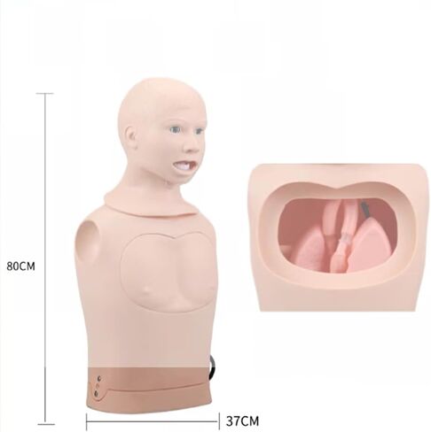 Intubation Gastric Tube Model Multifunctional Training Manikin Nasogastric and Trachea Care Lavage Tracheostomy in Kuwait