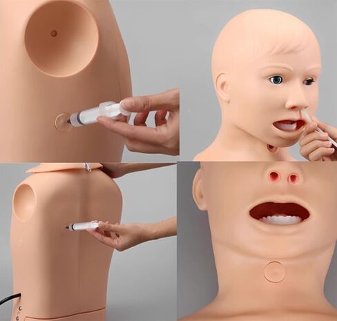 Intubation Gastric Tube Model Multifunctional Training Manikin Nasogastric and Trachea Care Lavage Tracheostomy in Kuwait