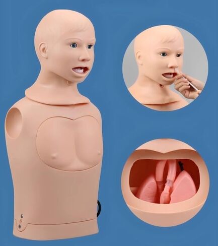 Intubation Gastric Tube Model Multifunctional Training Manikin Nasogastric and Trachea Care Lavage Tracheostomy in Kuwait
