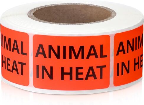 500 Pcs Animal in Heat Veterinary Fluorescent Orange-Red Labels - 1 x 1.5 Inch Pet Care Instruction Stickers for Animal Clinics, Shelters, Pet Stores or Party Rave in Kuwait