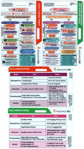 ACLS & PALS Badge Buddy 4-Card Set – Advanced Cardiovascular Life Support & Pediatric Life Support Reference Cards, EKG Reference, Emergency Algorithms for Nurses, EMT, Paramedics, ICU, ER in Kuwait