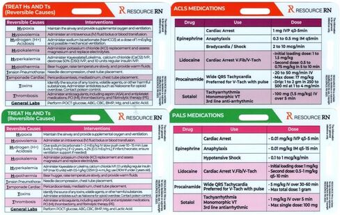 ACLS & PALS Badge Buddy 4-Card Set – Advanced Cardiovascular Life Support & Pediatric Life Support Reference Cards, EKG Reference, Emergency Algorithms for Nurses, EMT, Paramedics, ICU, ER in Kuwait