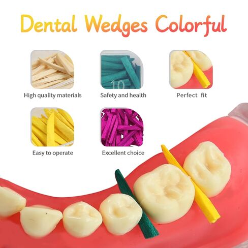 Dental Fixing Wooden Wedges Disposable Materials for Dental Restoration for Matrices Dental Matrix Wedges Gap Colorful Wood for Dental Restoration 300 Pcs/Box in Kuwait
