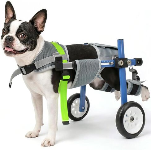 Lightweight and Adjustable Dog Wheelchair for Back Legs, Dog Carts with Wheels for Disabled Dogs, Thick Harness Support Mobility Cart for Pets in Kuwait