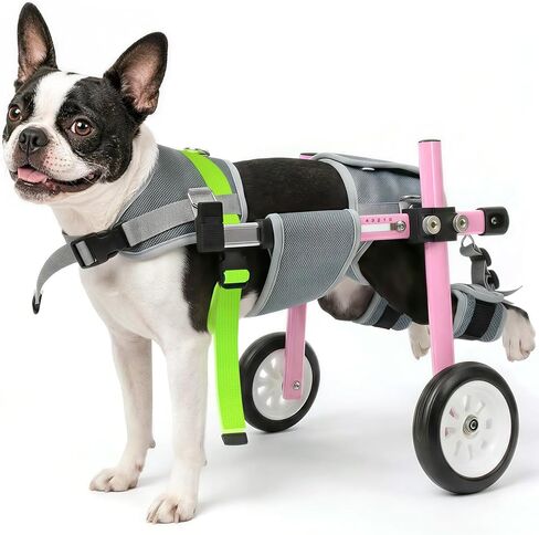 Lightweight Dog Wheelchair for Back Legs,Adjustable Mobility Cart in Saudi Arabia