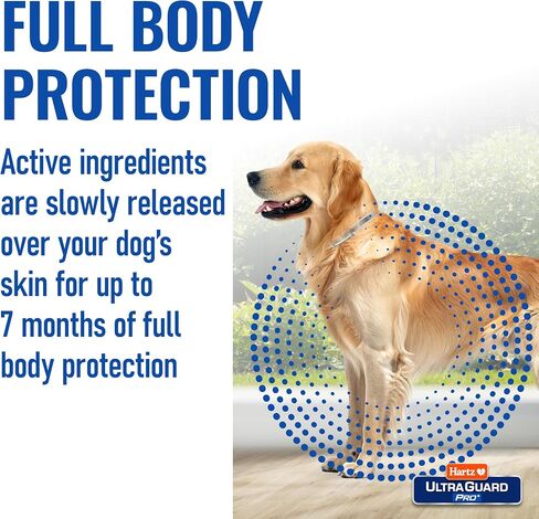 هارتز Ultraguard Pro Reflect Reflected Flea و Trick Collar للكلاب والجراء ، و 7 أشهر من الوقاية من القراد لكل طوق ، و 1 in Kuwait